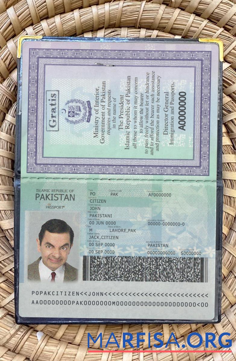 Printable Pakistan new passport 2020 present photolook download for verification